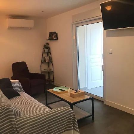 Bel Cœur De Ville, 6 Pers, Terrasse, Clim, Parking, à 400m De La - Fr-1-701-7